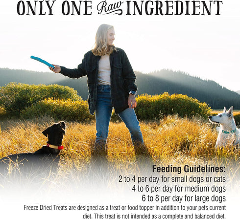 Northwest Naturals Raw Rewards Freeze-Dried Pork Heart Treats for Dogs and Cats, 3 Oz