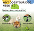 Wobble Giggle Ball Dog Toy, Squeaky Interactive Chewing Ball for Training, Indoor Outdoor Use