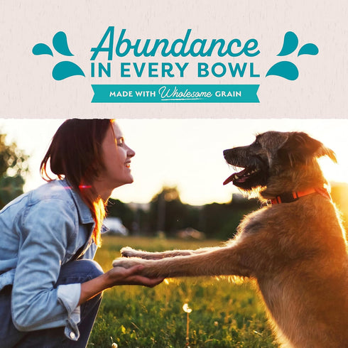Natural Balance Original Ultra Adult Wet Dog Food, Chicken Formula with Brown Rice, Carrots & Potatoes, 13 Ounce Can