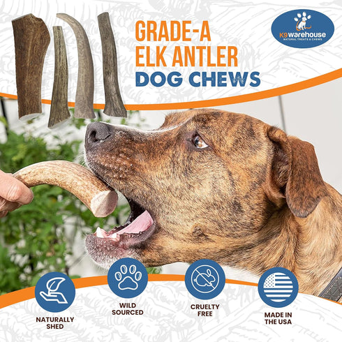 Elk Antlers for Dogs - USA Sourced Antler Chews for Aggressive Chewers, Promotes Oral Health for All Sizes