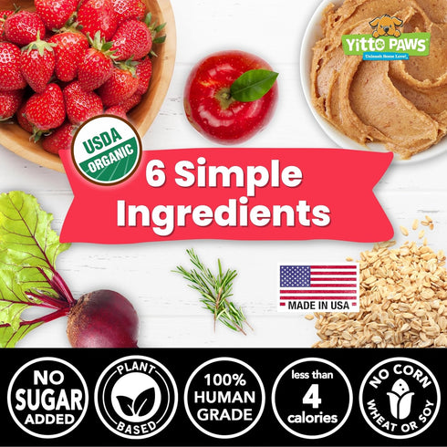 Organic Puppy Treats - Healthy Dog Training Treats, All Natural Dog Biscuits for Small Dogs & Puppies, Mini Peanut