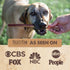 12" Mighty Paw Long Lasting Bully Sticks for Dogs - All Natural Grass Fed Beef Chews. Lower Odor Dog Bully Sticks