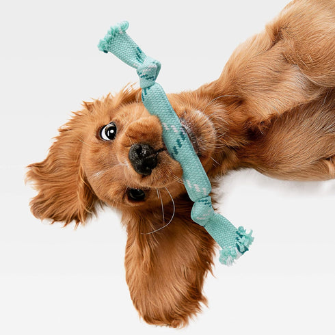 rocket & rex 3-Pack Dog Toy Set, Dog Rope Toys | Small to Medium Breeds | Stretchy Dog Toy Tug Rope, Tug of War Toy, Rubber and Crackle for Extra Chewing Fun | Dog Stocking Stuffer