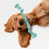 rocket & rex 3-Pack Dog Toy Set, Dog Rope Toys | Small to Medium Breeds | Stretchy Dog Toy Tug Rope, Tug of War Toy, Rubber and Crackle for Extra Chewing Fun | Dog Stocking Stuffer