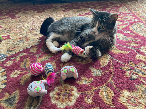 Smokey's Stash Catnip Filled Cat Toys, Sisal Mouse and Ball