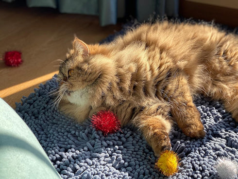 1.5 INCH Extra Large Cat Toy Balls, Sparkly Glitter Chase Pom Pom Balls