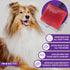 Paw Brothers Big Paw Slicker Brush for Long and Short Haired Dogs, Ideal for Doodles and Poodles