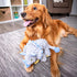 goDog Dinos Frills Squeaky Plush Dog Toy with Chew Guard Technology, Durable Fabric & Squeaker for Active Play, Gray