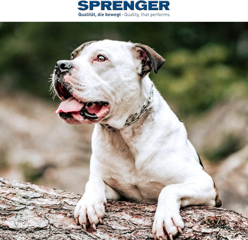 Herm Sprenger Stainless Steel Dog Collar with Swivel D-Ring, 3 Extra Links, for Small Medium Large Dogs
