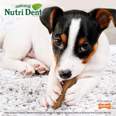 Nylabone Nutri Dent Dog Dental Chews, Small, 64 Count, Natural Teeth Cleaning & Breath Freshener