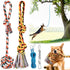 Dog Outdoor Bungee Hanging Toy - Blue Interactive Tree Tug Toy with Metal Spring Kit & 2 Rope Toys