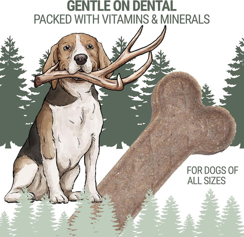 Antler and Himalayan Cheese Dog Chew, Long Lasting, 100% Natural, for Dogs 45 Lbs & Smaller