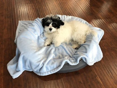 Super Soft Premium Pet Blankets | Best Friend Blue Pet Blanket, 30" x 40", Designed for Puppies & Kittens