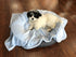 Super Soft Premium Pet Blankets | Best Friend Blue Pet Blanket, 30" x 40", Designed for Puppies & Kittens