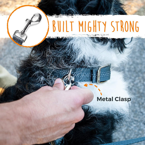 Mighty Paw Double Dog Leash, No Tangle Design, Adjustable Split Lead for 2 Pets, Reflective Dual Pet Lead