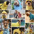Blueberry Pet 14" Lightweight Waterproof Dog Raincoat with Hood & Harness Hole, Sunflower Yellow, Outdoor Jacket for