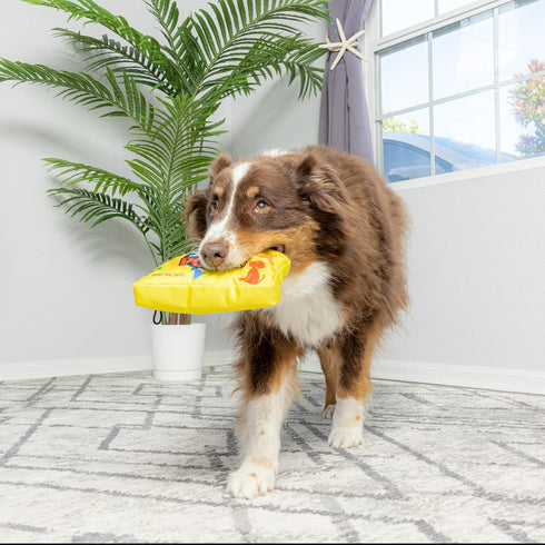 SPOT by Ethical Products - Fun Candy - Whimsical Funny Dog Squeak Toys - Sour Pooch