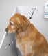 Top Performance Cable Grooming Loop - Durable Loops to Secure Dogs While Grooming, 19" Black
