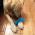 Non-Toxic Dog Squeaky Toys Value Set, TPR Rubber Balls, Spikey Chew Toys for Small Medium Dogs, Puppy Teething Toys