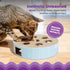 Interactive Cat Puzzle Toy with Scratchable Corrugate - Engages Your Cat's Hunting Instincts