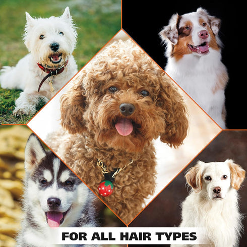 Wahl USA Odor Control Shampoo for Dogs & Pets - Eucalyptus & Spearmint Deodorizer - 24 Oz - Model 820003A