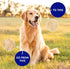Pat Your Pet Deshedding Dog Brush - Double Sided Undercoat Grooming Rake for Dogs & Cats, Dematting Comb