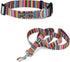 Lucky Love Dog Combo Set, Rainbow Collar & Leash Set for Small Dogs, Colorful Matching Set for Girl or Boy Dogs