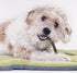 6 1 lb Downtown Pet Supply - Bully Sticks for Dogs - Dog Dental Treats & Rawhide-Free Chews - Dog Treats with Protein