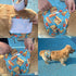5packs 9 11 Male Dog Diapers Reusable High Absorbing Male Dog Wraps Washable Dog Diapers Male Small with Cute Patterns