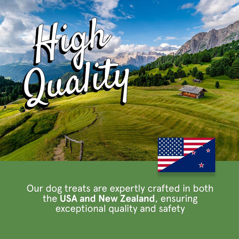 Real Meat Dog Treats - Two 12oz Bags of Air-Dried Beef Jerky for Dogs, Grain-Free, High Protein Treats