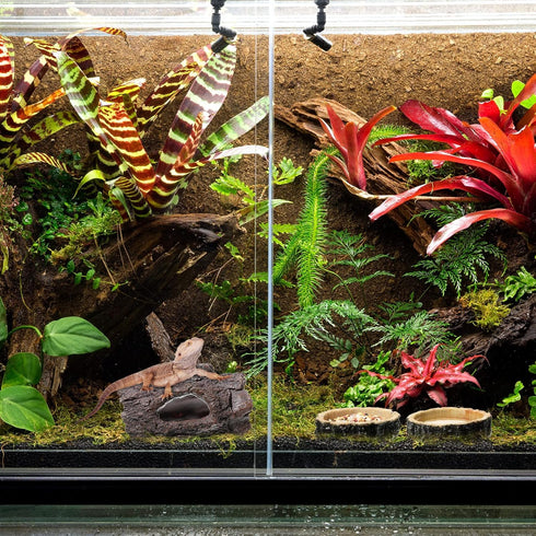 Reptile Hide, Food Bowls, Lizard Resin Hollow Tree Trunk Hideout, Bearded Dragon Tank Accessories, 3 Pcs (Brown Rock)