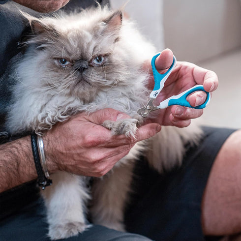 Trimmers, Mr. Pen- Cat Nail Clipper, Pet Nail Kitten Claw Clippers, Easy to Use, Precision and Sharp Cut