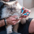 Trimmers, Mr. Pen- Cat Nail Clipper, Pet Nail Kitten Claw Clippers, Easy to Use, Precision and Sharp Cut