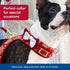 Coastal Pet Accent Metallic Adjustable Dog Collar, Comfortable with Sturdy Metal Buckle, Royal Burgundy Crowns, 5/8" x