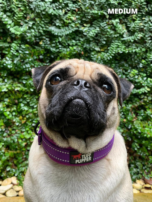 Tuff Pupper Ultra Comfort Padded Dog Collar | Thick Neoprene Padding | Waterproof Collar with Reflective Stitching