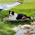 Bedsure Large Elevated Cooling Outdoor Dog Bed, Raised Cots for Large Dogs, Portable Indoor & Outdoor Hammock Bed,