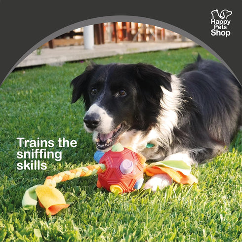 Snuffle Rope - Interactive Dog Ball and Puzzles for Smart Dogs, Dog Balls for Large Dogs