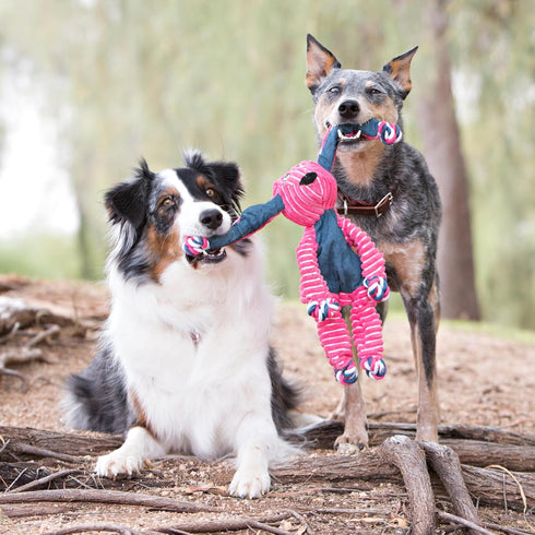KONG Floppy Knots Knotted Rope Dog Toy, Tug Toy for Medium/Large Dogs, Elephant Design
