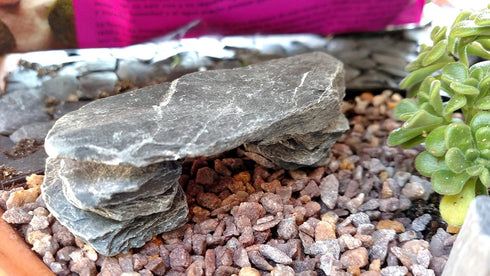 Natural Slate Stone 1 to 3 Inches - Packaged for Aquascaping, Terrariums, Reptile Enclosures, 2lbs Grey