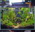 Aquarium Heater for Fish Tank 50W for up to 20 Gallons, Shatterproof for Marine and Fresh Water