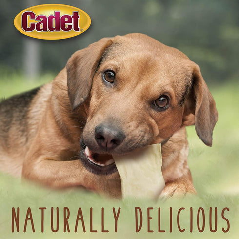 Cadet Premium Grade Beef Hide for Dogs, Long Lasting Rawhide Chews, Chips, Curls & Rolls