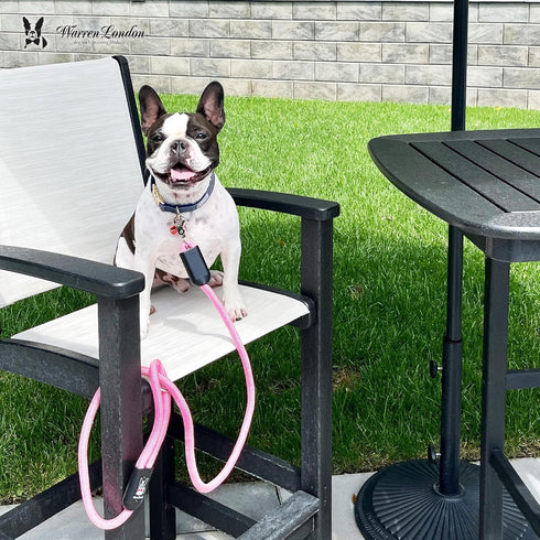 Warren London Climbing Rope Dog Leash; 5ft Length with Reflective Options, Ergonomic Grip for Small Medium Large Dogs
