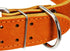 Thick Genuine Leather Spiked Studded Dog Collar - Brown, Fits 18"-22" Neck for Retriever, Doberman, Rottweiler, Pitbull