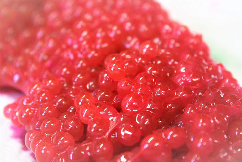 Generic Cured King Salmon Roe Skein 1 LB Pink Fishing Bait