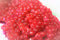 Generic Cured King Salmon Roe Skein 1 LB Pink Fishing Bait