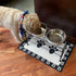 PetRageous 16010 Kona Stainless Steel Non-Slip Dog Bowl, 3.75-Cup, 6.75-Inch Diameter for Medium and Large Dogs