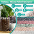 -7lb 1/4Inch AVALUTION Aquarium Gravel for Plants Fish Tank Gravel for Succulent Cactus & Bonsai, Decorative River