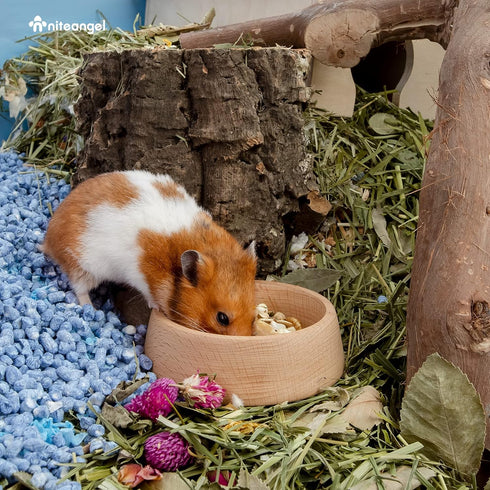 Niteangel Wooden Hamster Feeding Bowl - Small Animal Food Dish for Dwarf Syrian Hamsters (Hammy Pattern)