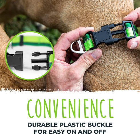 Mighty Paw Martingale Dog Collar - Gentle Correction with 100% Stainless Steel Chain, Weatherproof Nylon, Durable