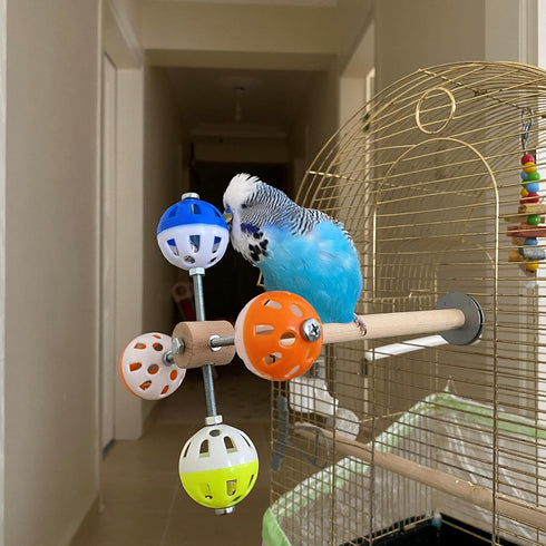 PERSONALIZED Perch Toy with Rotating Balls for Birds, Budgies, Budgerigars, Parakeets, Parrots, Cockatiels, Parrotlets
